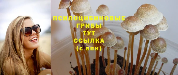 герыч Галич