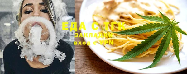 индика Ельня